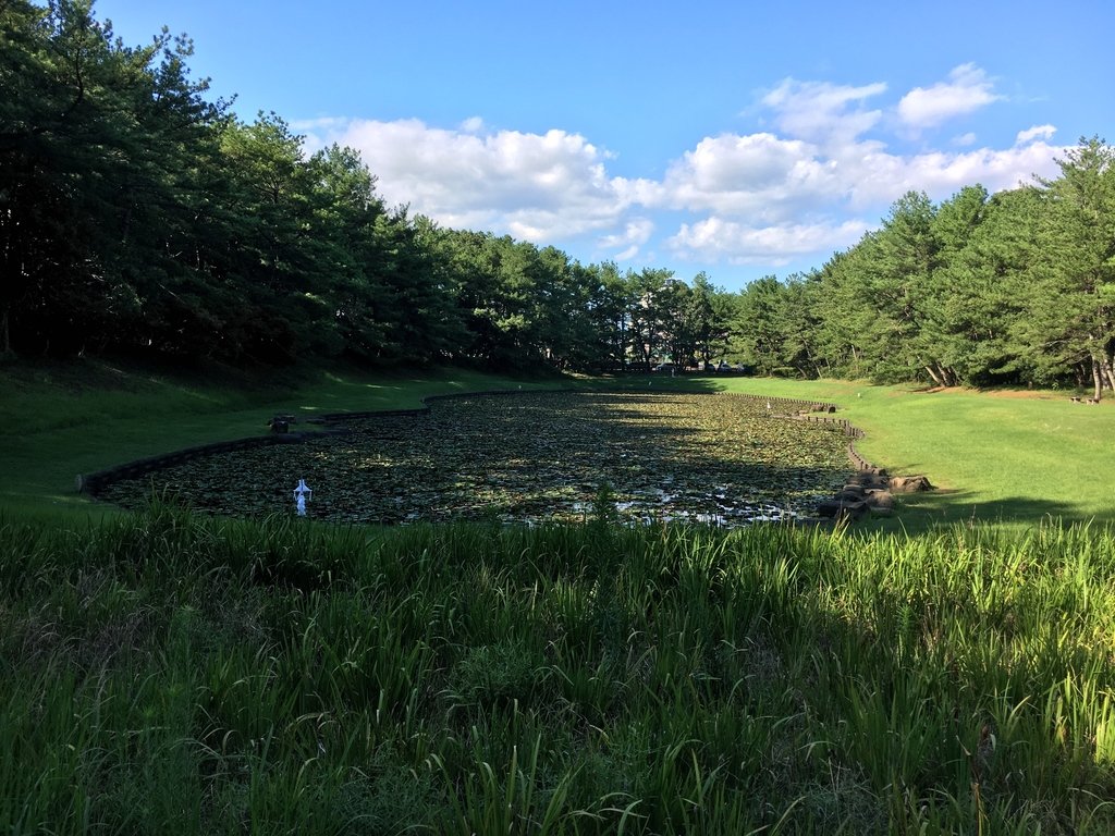 ⛩️ 에다 신사(江田神社) 이미지 5